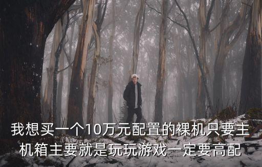 我想买一个10万元配置的裸机只要主机箱主要就是玩玩游戏一定要高配