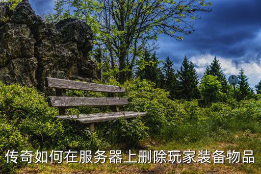 传奇如何在服务器上删除玩家装备物品