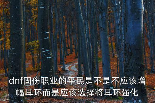 dnf固伤职业的平民是不是不应该增幅耳环而是应该选择将耳环强化