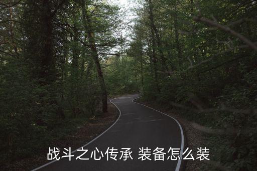战斗之心传承 装备怎么装