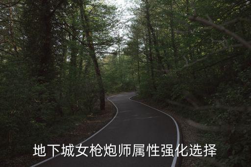 dnf枪炮什么属性强化，dnf枪炮用什么属性强化最好的呢