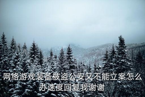 网络游戏装备被盗公安又不能立案怎么办速度回复我谢谢