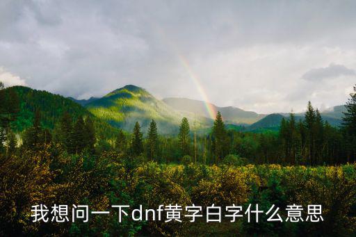 我想问一下dnf黄字白字什么意思