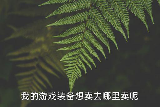 我的游戏装备想卖去哪里卖呢