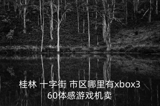 桂林 十字街 市区哪里有xbox360体感游戏机卖