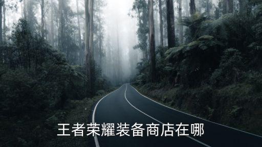 网易游戏装备商店在哪里，网易游戏 天下三商城在哪
