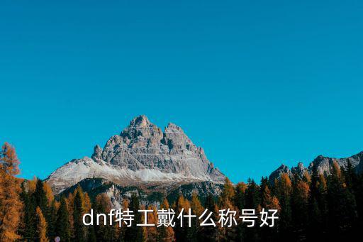 dnf特工加什么属性好，DNF属性怎么加啊