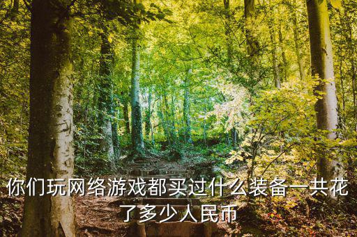 你们玩网络游戏都买过什么装备一共花了多少人民币