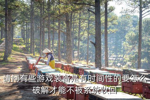 请问有些游戏装备是有时间性的要怎么破解才能不被系统收回