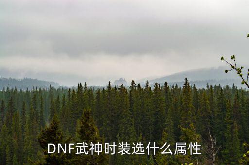 DNF武神时装选什么属性