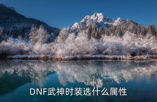 dnf武神时装什么属性，DNF武神时装选什么属性