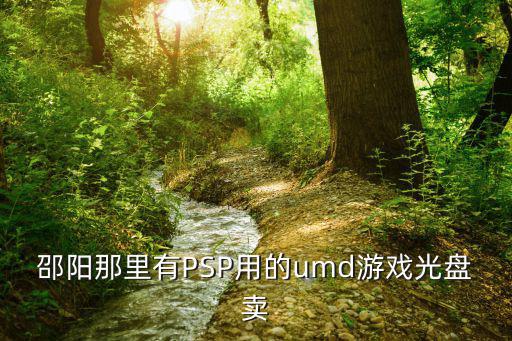 邵阳那里有PSP用的umd游戏光盘卖