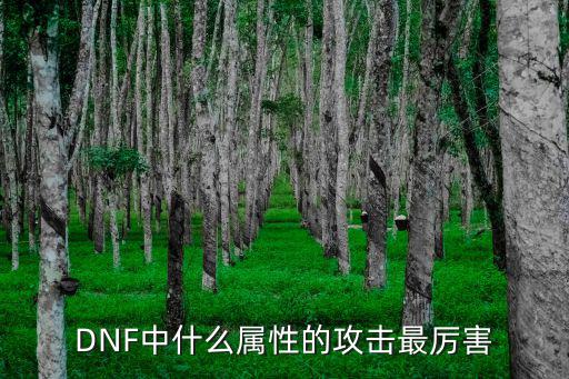 dnf决斗场什么属性好，dnf什么传承光PK好带上属性