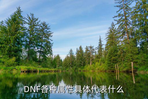 DNF各种属性具体代表什么