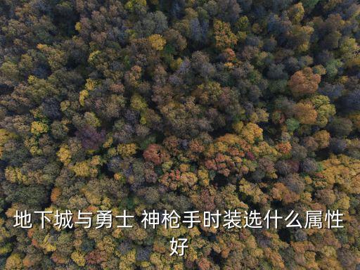 dnf枪手时装选什么属性，DNF漫游枪手时装什么属性