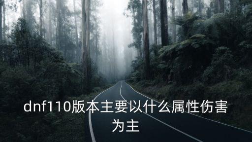 dnf110版本主要以什么属性伤害为主