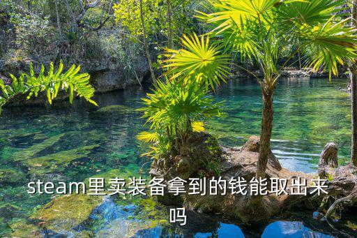 steam里卖装备拿到的钱能取出来吗