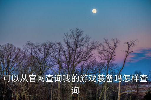 可以从官网查询我的游戏装备吗怎样查询