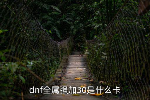 dnf全属强加30是什么卡