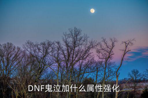 DNF鬼泣加什么属性强化