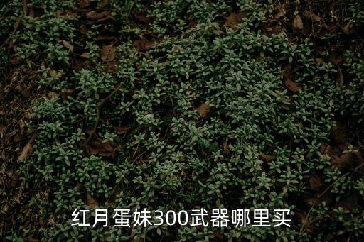 红月普通游戏装备哪里买，红月蛋妹300武器哪里买