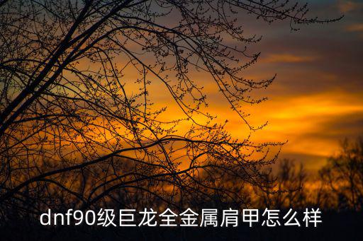 dnf90级巨龙全金属肩甲怎么样