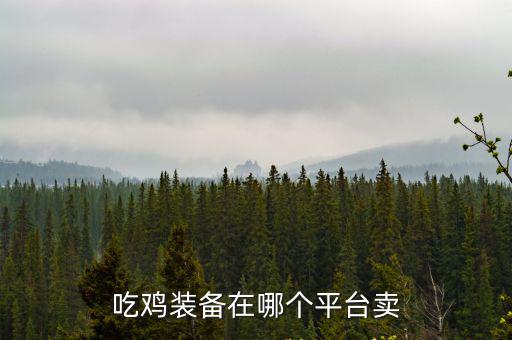 吃鸡装备在哪个平台卖