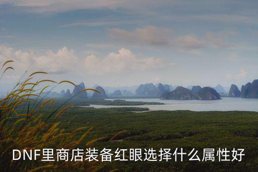 DNF里商店装备红眼选择什么属性好