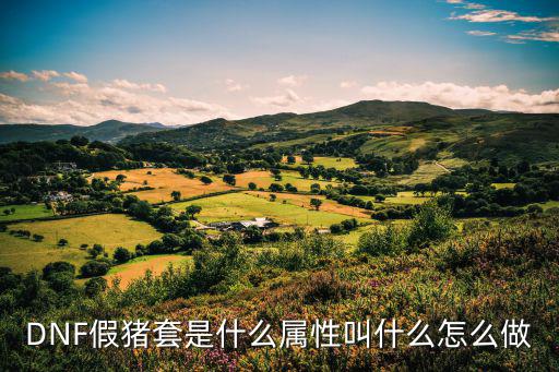 DNF假猪套是什么属性叫什么怎么做