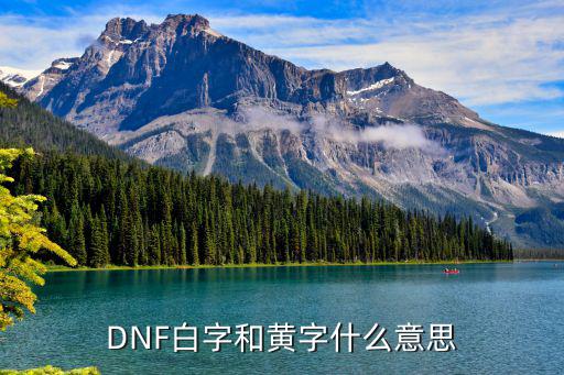 DNF白字和黄字什么意思