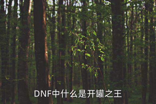 dnf开罐之王什么属性，DNF 开罐之王属性