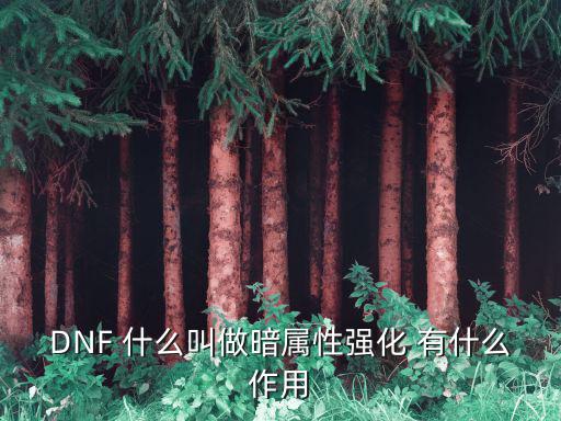 DNF 什么叫做暗属性强化 有什么作用