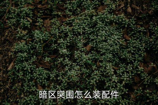 暗区突围怎么装配件