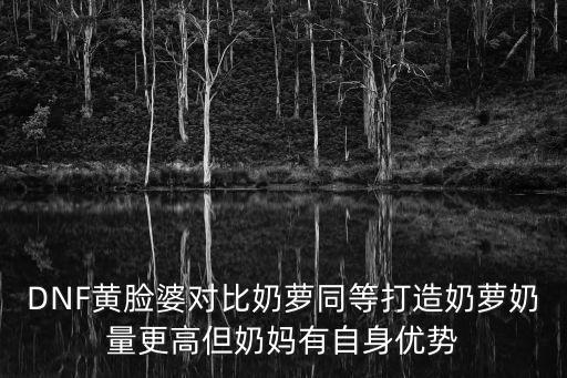 dnf奶萝什么属性，dnf奶萝是哪个职业