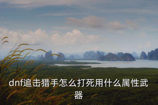 dnf追击猎手什么属性，dnf追击猎手怎么打死用什么属性武器