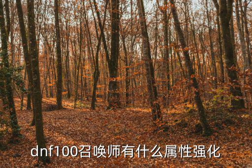 dnf100召唤师有什么属性强化