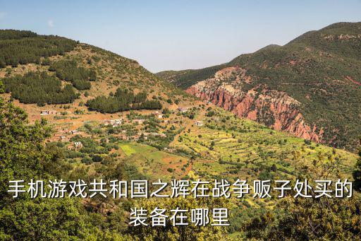 手机游戏共和国之辉在战争贩子处买的装备在哪里