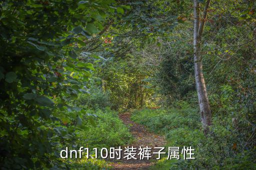 dnf110时装裤子属性