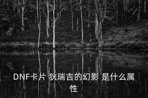 DNF卡片 狄瑞吉的幻影 是什么属性