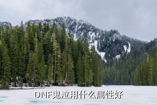 DNF鬼泣用什么属性好