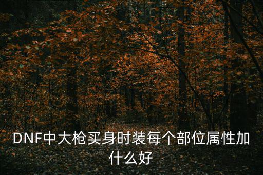 dnf装扮加什么属性好，地下城与勇士阿修罗装扮选什么属性好