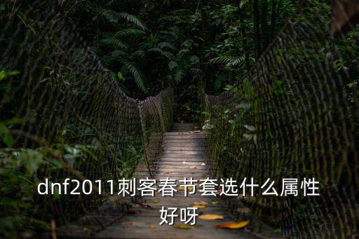 dnf2011刺客春节套选什么属性好呀