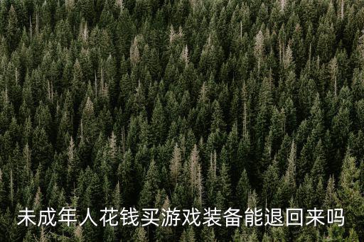 未成年人花钱买游戏装备能退回来吗