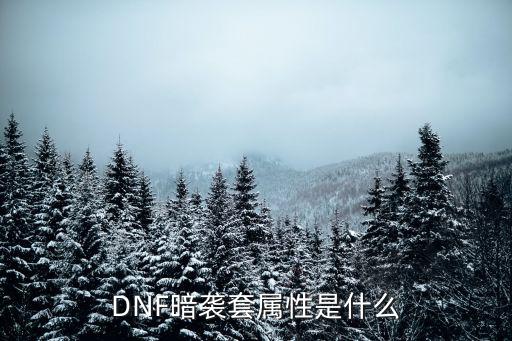 dnf暗幕之王什么属性，DNF暗袭套属性是什么