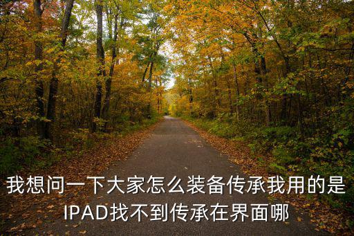 淘宝游戏装备如何继承，我想问一下大家怎么装备传承我用的是IPAD找不到传承在界面哪
