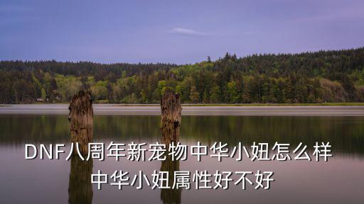 DNF八周年新宠物中华小妞怎么样 中华小妞属性好不好