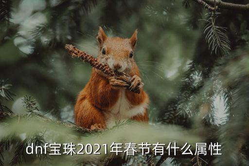 dnf恒久宝珠什么属性，dnf宝珠2021年春节有什么属性