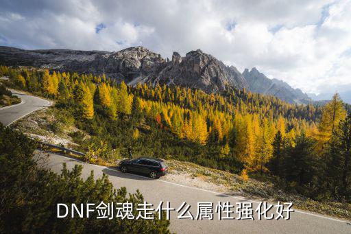 dnf 白手走什么属性，dnf白手的时装属性选择