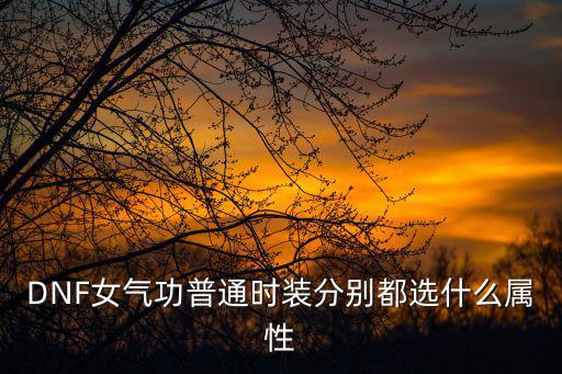 DNF女气功普通时装分别都选什么属性