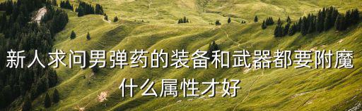 新人求问男弹药的装备和武器都要附魔什么属性才好